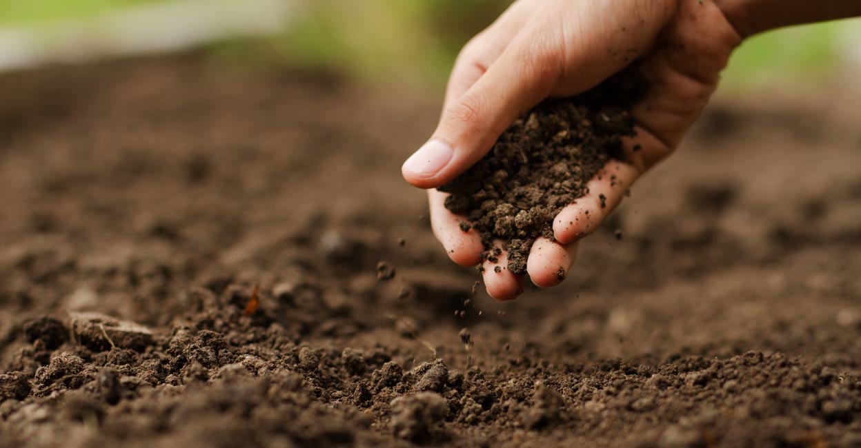 Representational image. iStock.