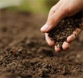 Malappuram underground rumblings: No need to panic, say experts