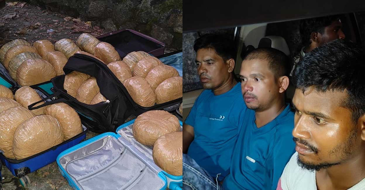 Seized cannabis and the arrested. Photo: Manorama