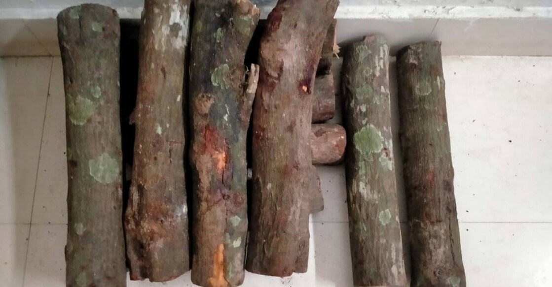 The seized sandalwood. Photo: Special Arrangement