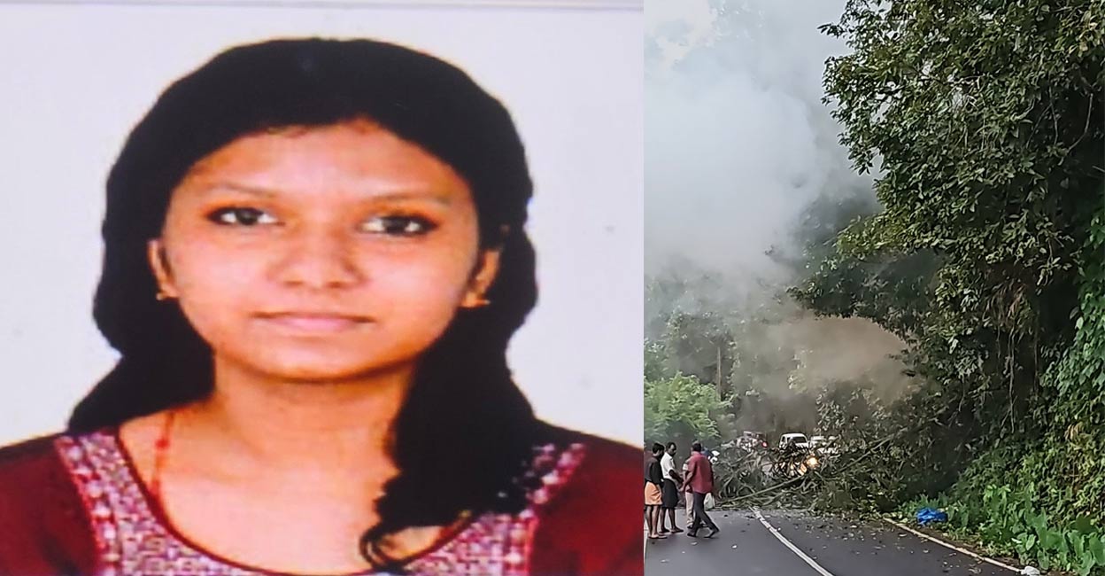 kothamangalam-accident Ann Mary; the palm tree that fell onto the road after a wild elephant uprooted it. Photo: Manorama