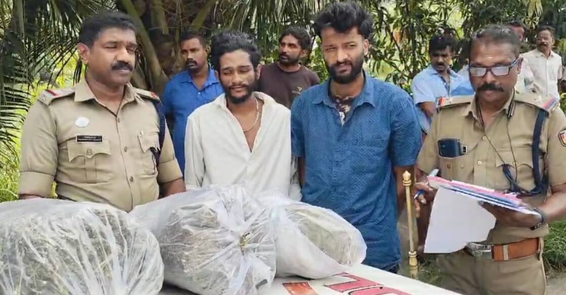 thrissur-ganja-arrest-c The accused are Libin (26), a resident of Kombidinjamakkal in Thrissur, and Stemin (23), a resident of Palluruthy, Ernakulam. Photo: Special Arrangement
