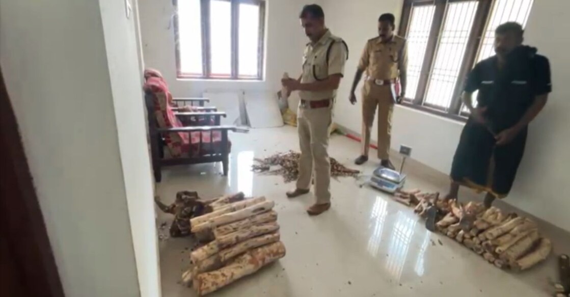 sandalwood-smuggling.jpg The squad seized around 200 kg of sandalwood. Photo: Special Arrangement