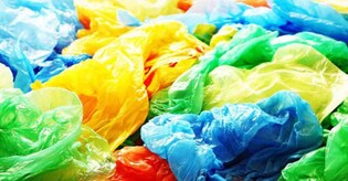 Single-use plastic ban: Kerala HC orders strict action against illegal manufacturers, sellers