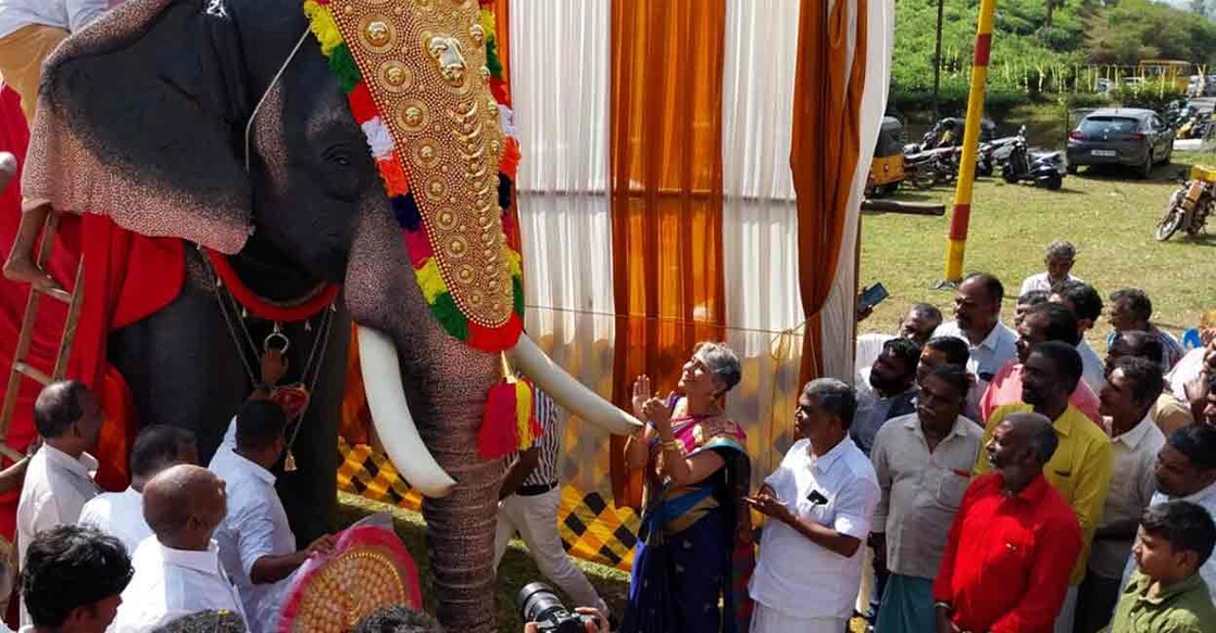 Named Sri Shankara Hariharan, the robotic elephant was recently offered by Sangita Iyer, an Indian-born Canadian citizen, a true lover of Asiatic elephants. Photo: Special arrangement
