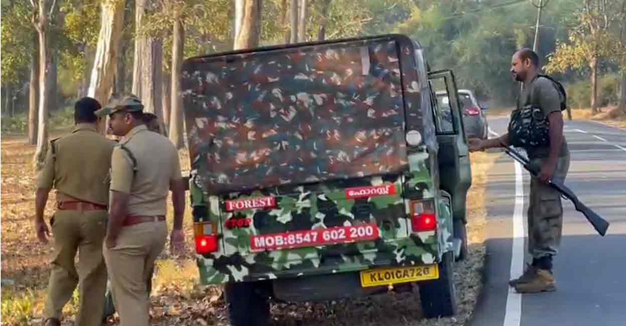 Operation Belur Makhna: The signals from the  'radio collar' fixed on the animal were received to the Rapid Response Team in the morning. Photo: Special arrangement