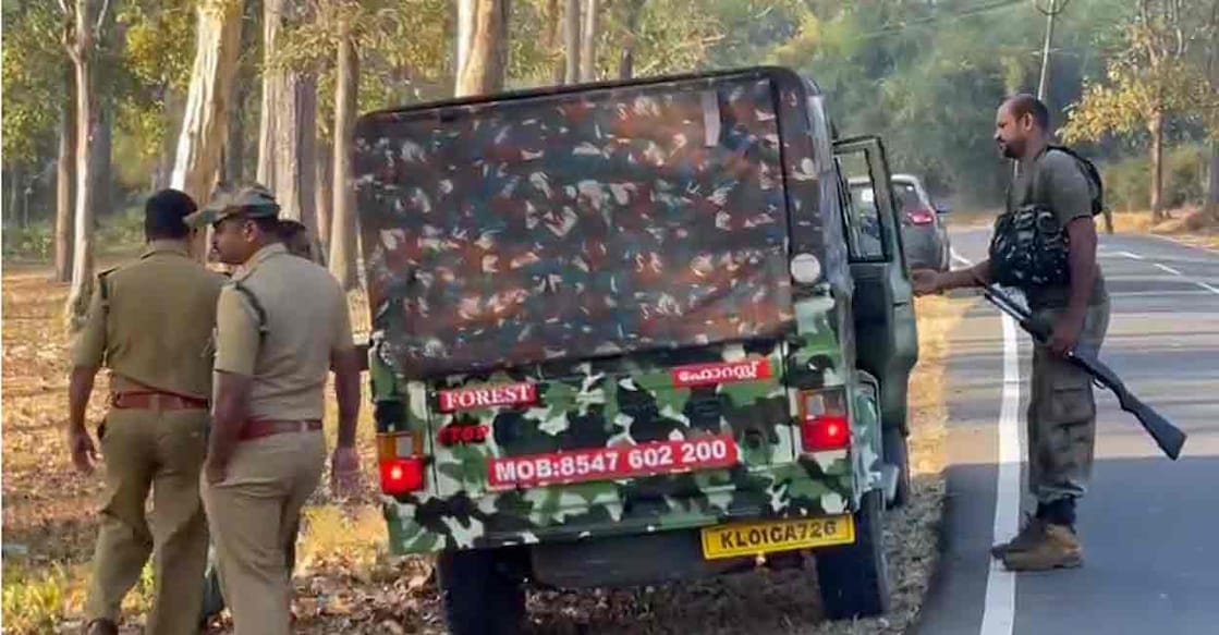 Operation Belur Makhna Operation Belur Makhna: The signals from the 'radio collar' fixed on the animal were received to the Rapid Response Team in the morning. Photo: Special arrangement