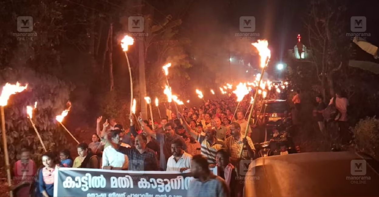 padamala-protest-1 Residents of Padamala take out a torch-bearing protest march calling for the capture of a tiger that is on the loose in the area. Photo: Arun Varghese/Manorama