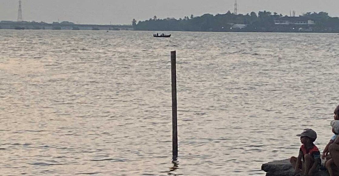  Research shows an escalating presence of multiple antibiotic-resistant Vibrio bacteria; the aquatic microbes responsible for diseases like Cholera and diarrhoea in Vembanad Lake. Photo:Special arrangement