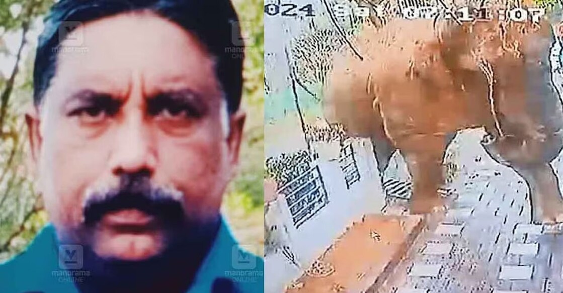 Ajeesh was trampled to death by a wild elephant known as Belur Makhna on February 10. File Photo.