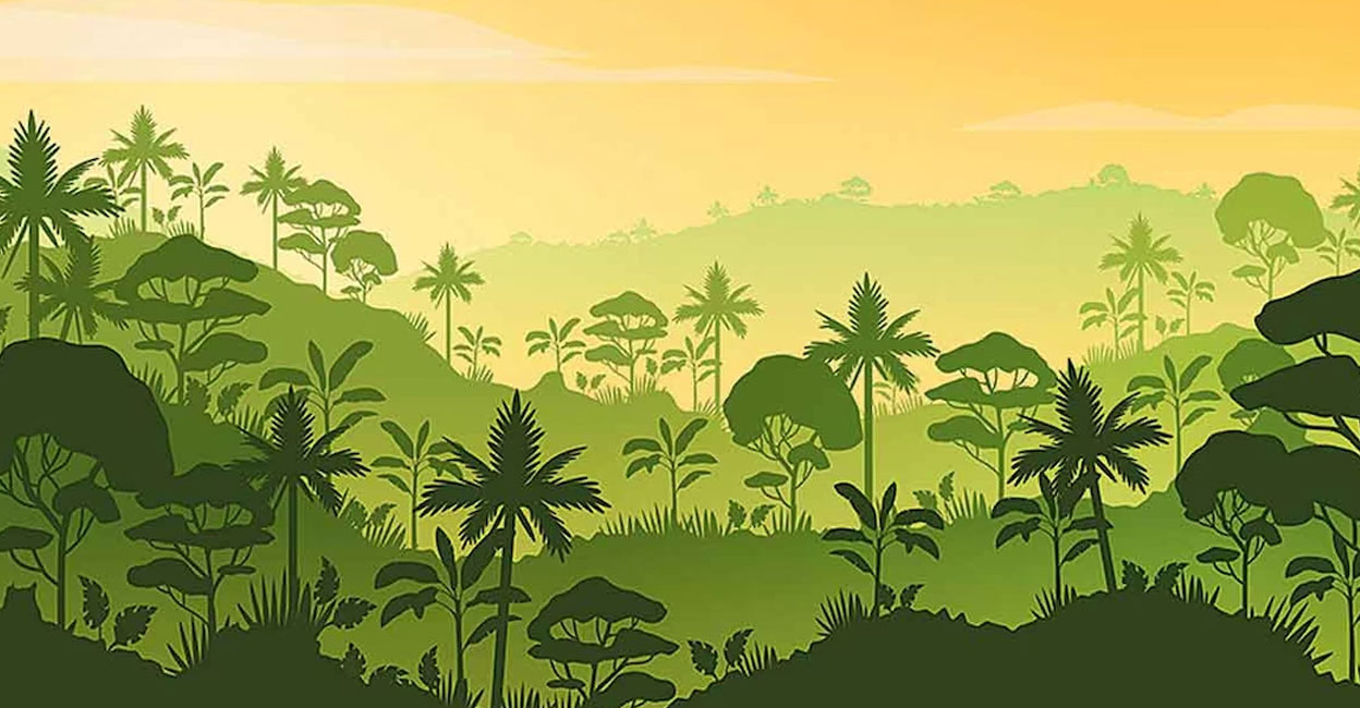 Representational image. Photo: Shutterstock