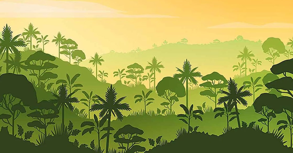 forest-ls The report also reveals that 5,010 hectares of forest land have been encroached in the state since 1977. Representational image.