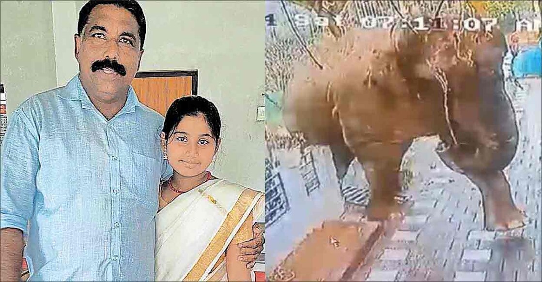 Panachiyil Ajeesh of Payyampalli was trampled to death by rogue wild elephant Belur Makhna on February 10. Photo: Manorama