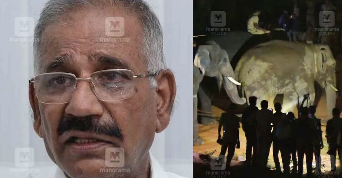 "Utmost painful," said Kerala for Forests and Wild Life Protection A K Saseendran on the death of Thanneer Komban, the wild tusker captured after the hours-long mission in Wayanad on February 2 and transported to Karnataka. Photo: Manorama Online.