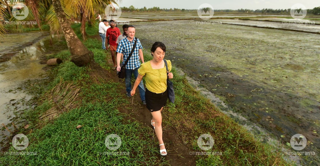 Finance Minister K N Balagopal said the state would need more hotel rooms in the next three years to meet the growth in the tourism sector. Representational image: Manorama