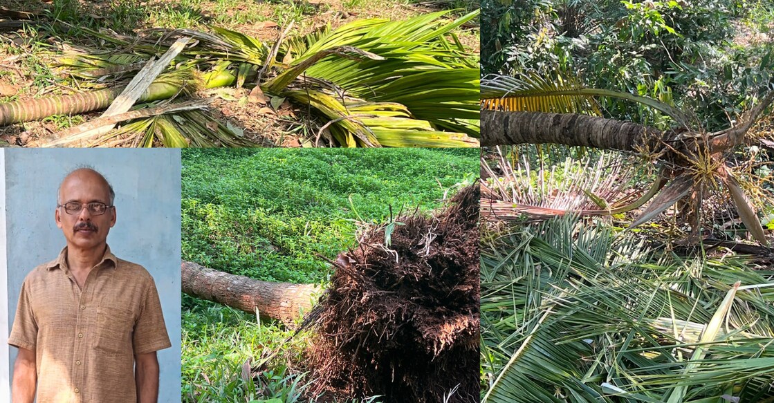 1) P A Sunny 2) An area where the elephants caused damage to the crops cultivated by locals. Photo: Special arrangement. 