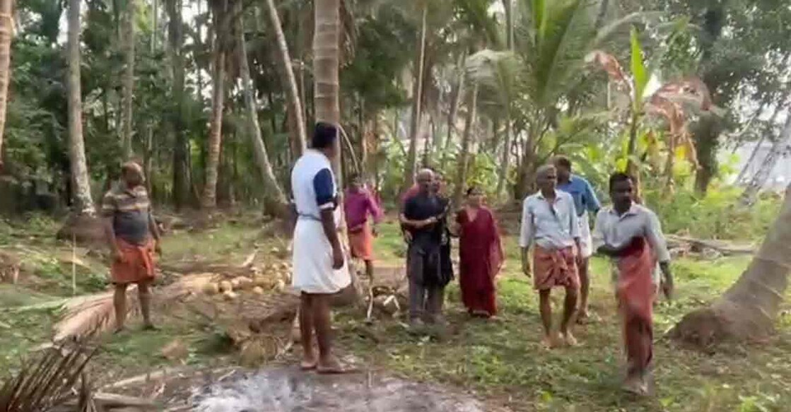 A group of CPM activists prevented workers from harvesting coconuts in a field owned by a family in Palayi, a CPM stronghold within the Nileshwaram municipality. Photo: Screenshot/Video