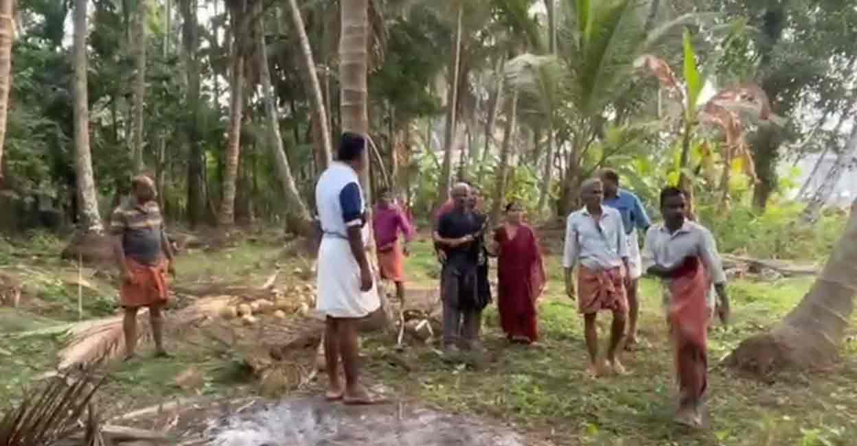 A group of CPM activists prevented workers from harvesting coconuts in a field owned by a family in Palayi, a CPM stronghold within the Nileshwaram municipality. Photo: Screenshot/Video