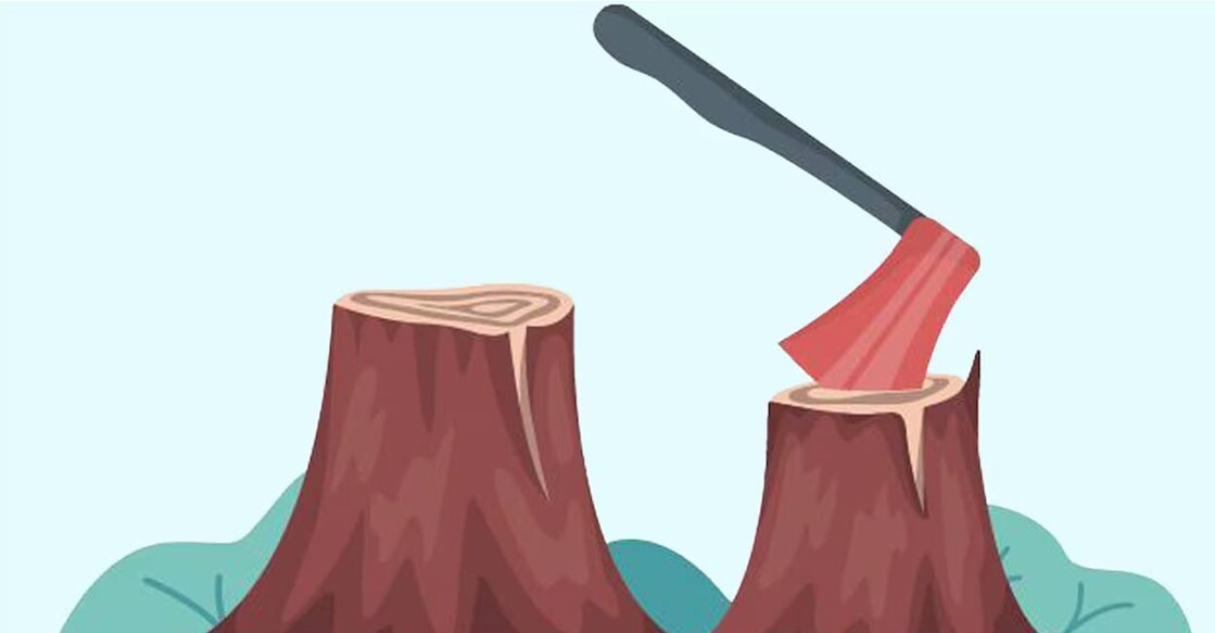 tree-felling-ls