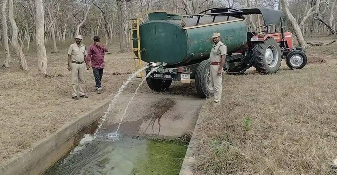 The authorities of Bandipur Tiger Reserve and Mudumalai Tiger Reserve have already started filling water in concrete tanks inside the jungle to cater to the wild animals who are struggling to get water from natural sources. Photo: Special arrangement. 