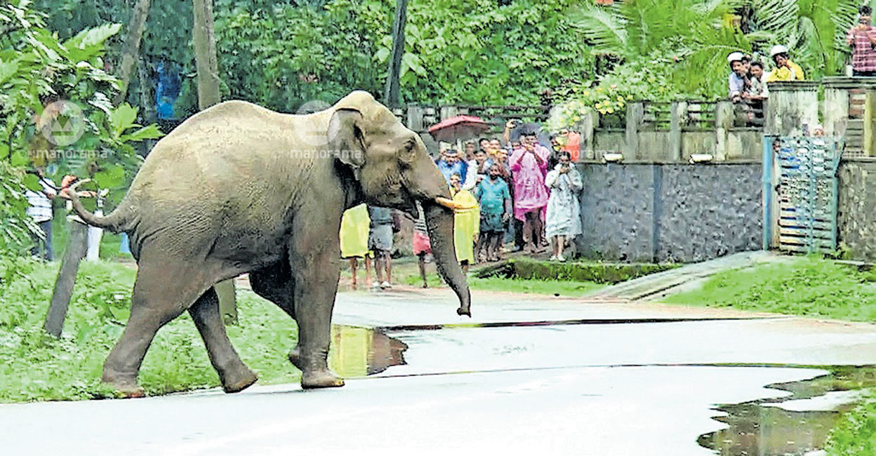 Representational image