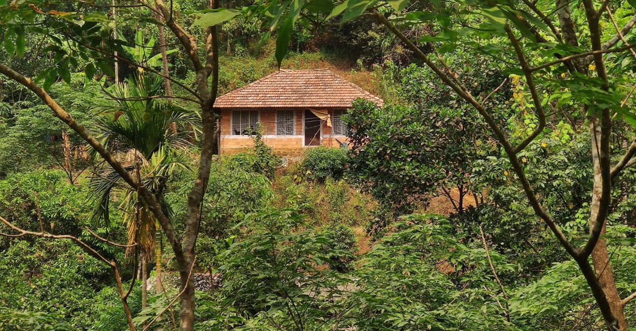 chathamangalam-1 An abandoned house in Chathamangalam. Photo: Onmanorama