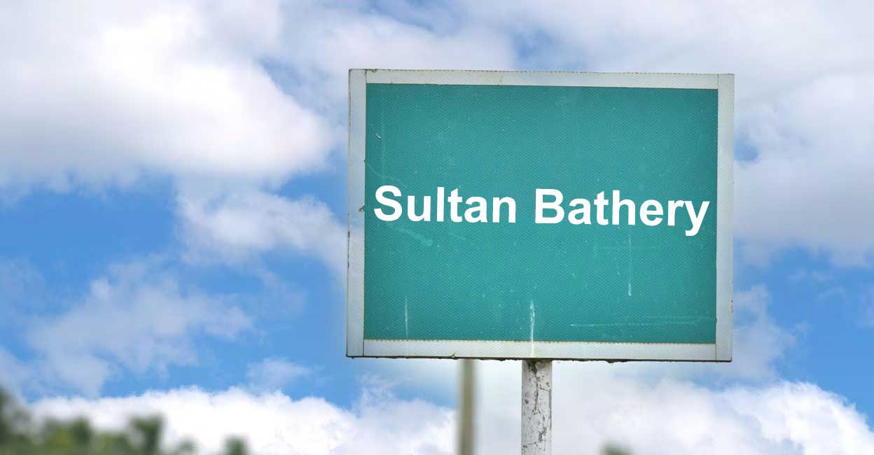 sulthan-bathery-grahic