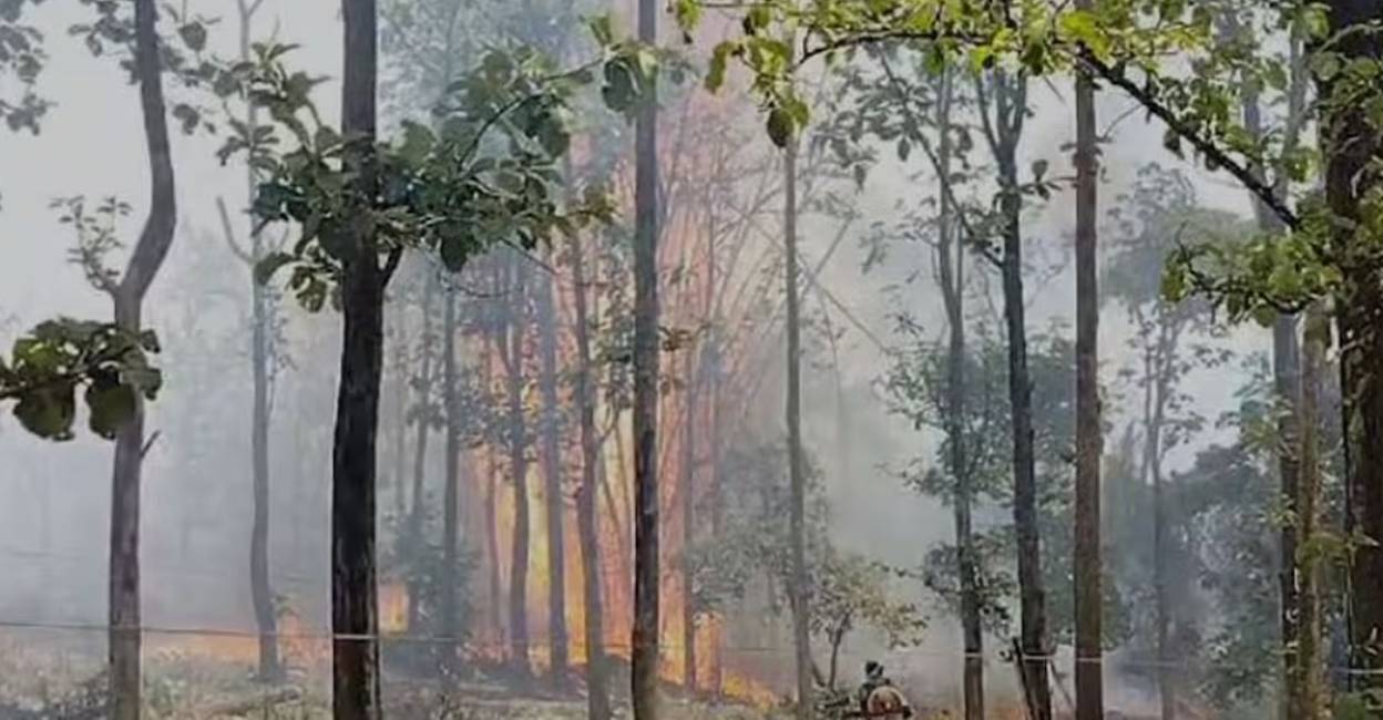 wildfire-wayanad-c Wildfire in Wayanad forest. Photo: Screengrab/ Manorama News