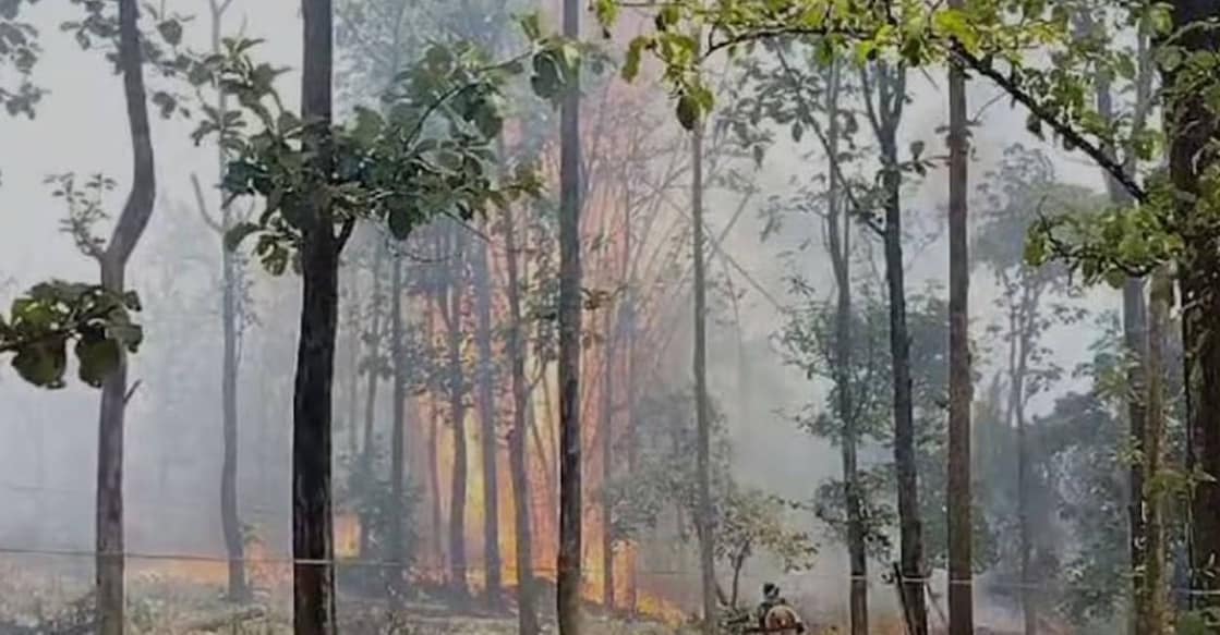 Wildfire in Wayanad forest. Photo: Screengrab/ Manorama News