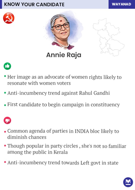 Mobile-Annie-Raja