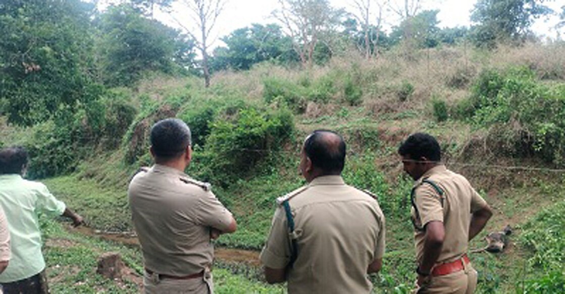 pulpalli-tiger-attack-area Officials inspect the place where the calves were attacked. Photo: Special arrangement