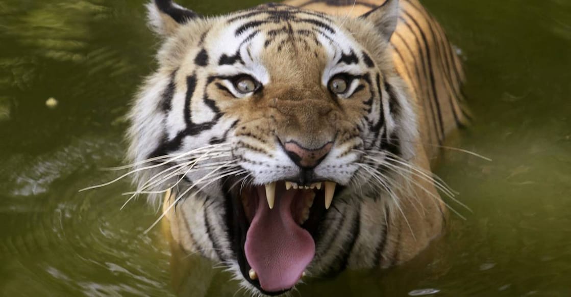 Representational Image: AP