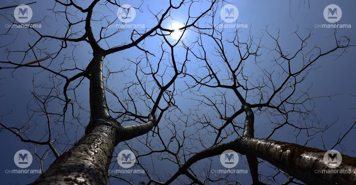 Representational Image: Manorama/ File