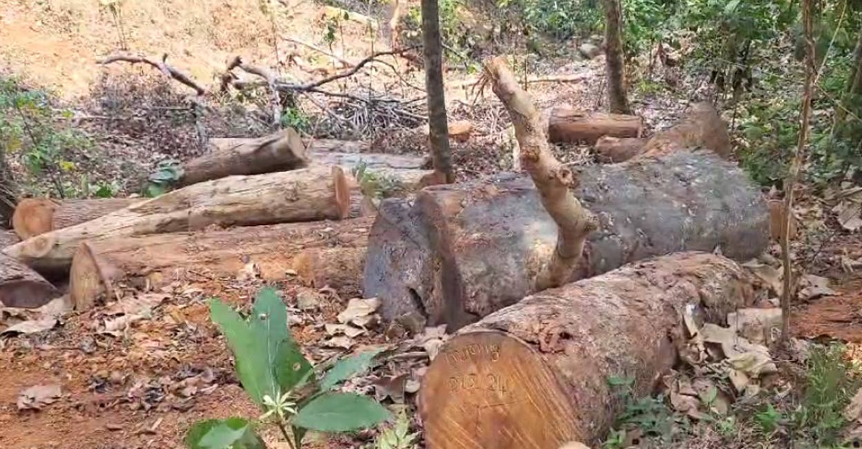 Sugandhagiri tree felling: Special probe team recommends action against 18 forest officials