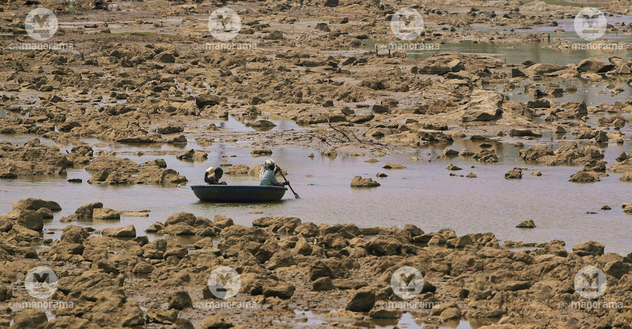 People use a coracle to move through the shallow waters of a dried up River Kabani in Wayanad. File photo: Jithin Joel Haarim/Manorama