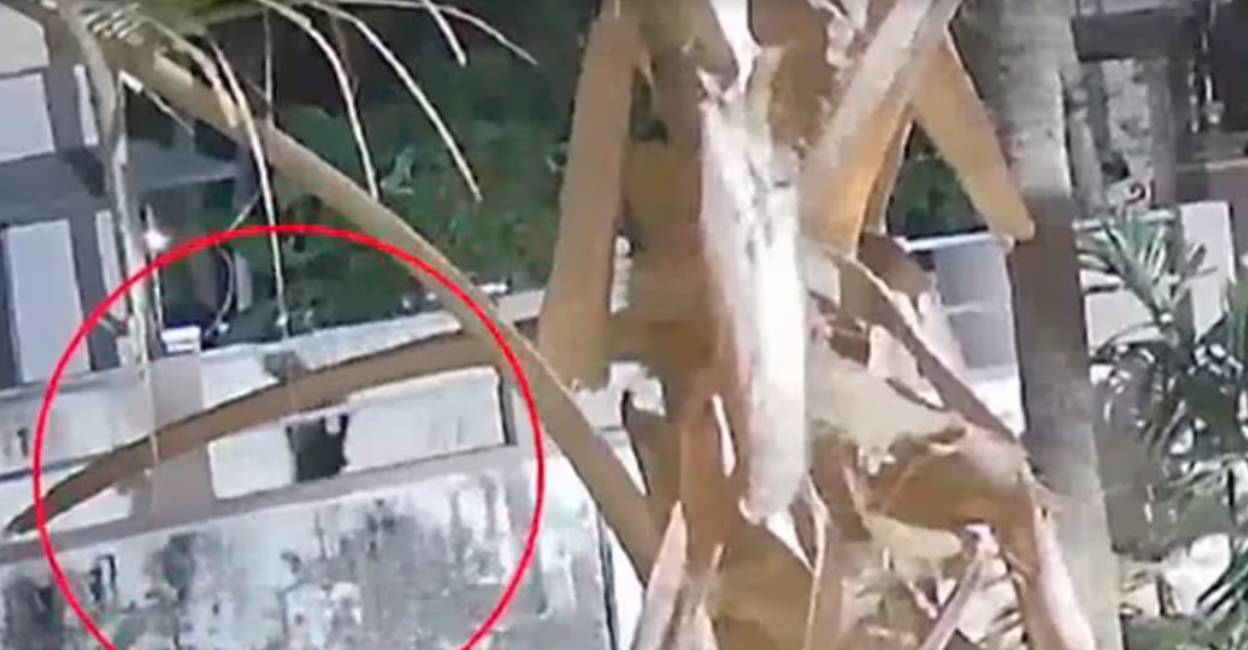 Image of the accused captured on a CCTV 