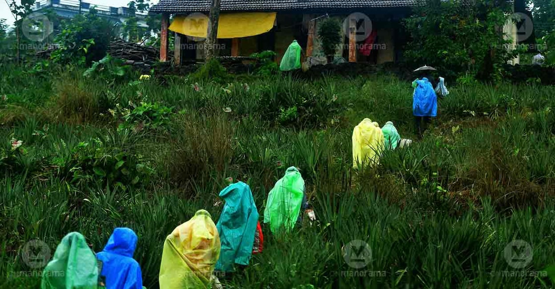 Workers make their way home in the rain. File photo: Russel Shahul/Manorama