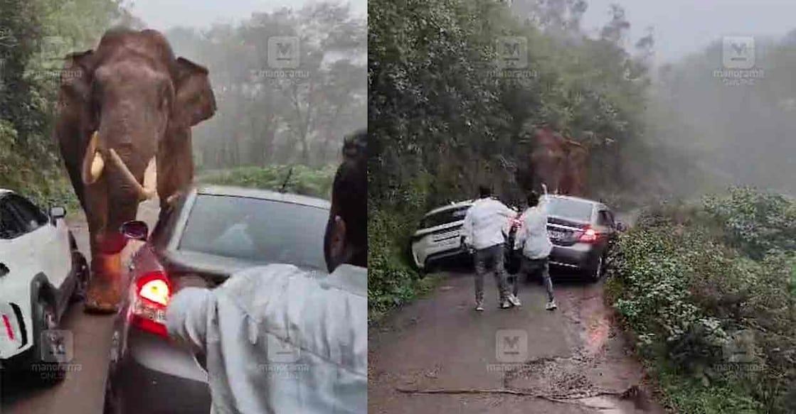 Padayappa charges at two vehicles at Nallathanni Kallar. Photo: Screegrab/Manorama News