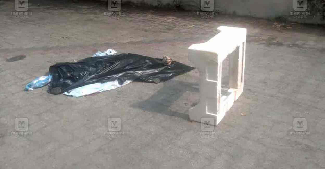  The police have arrested a 23-year-old woman for murdering her newborn by flinging him down from the fifth floor of a flat at Vidya Nagar in Panampilly Nagar. Photo; Manorama