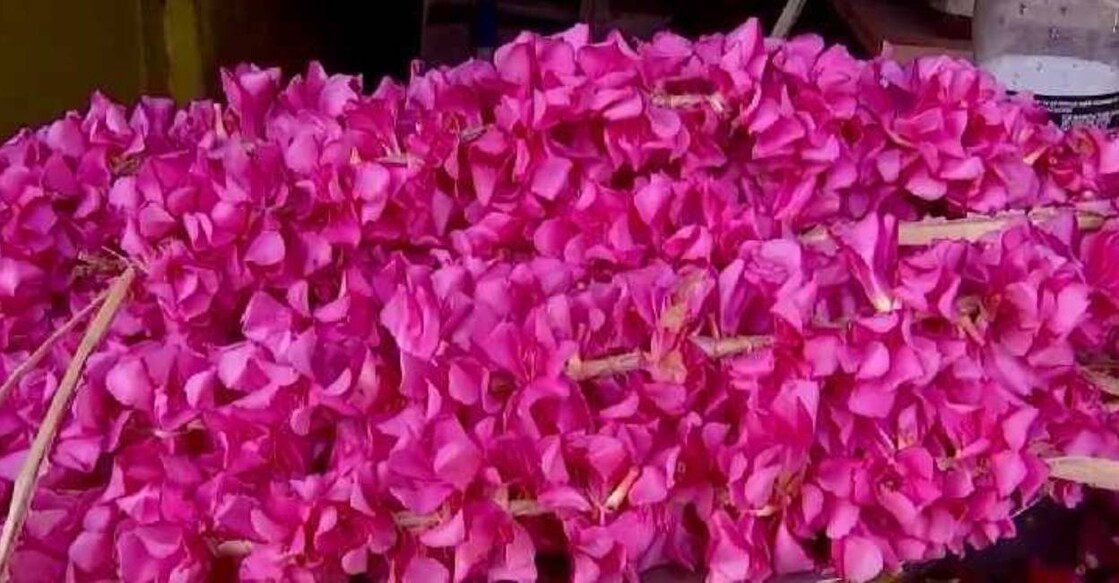 Arali flowers. Photo: Screengrab/ Manorama