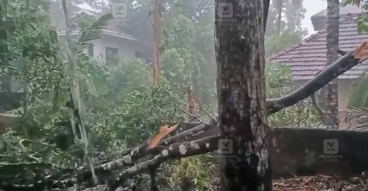 Heavy rain and winds hit train traffic in Kerala; services restored ...