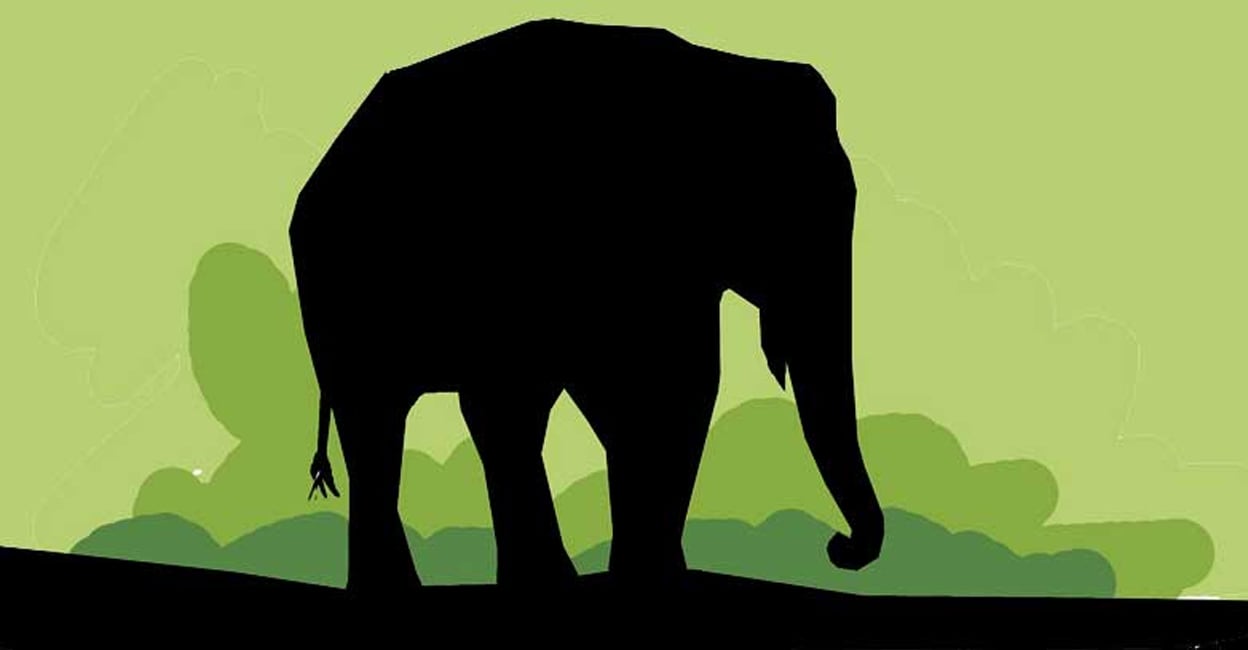 Elephant attacks continue in Aralam Farm, toddy tapper hospitalised ...