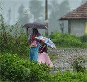 Kerala rain: Holiday for educational institutions in Wayanad tomorrow