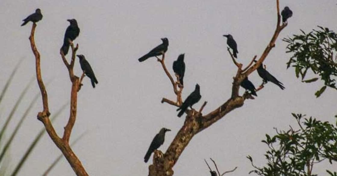 Representational image: Manorama