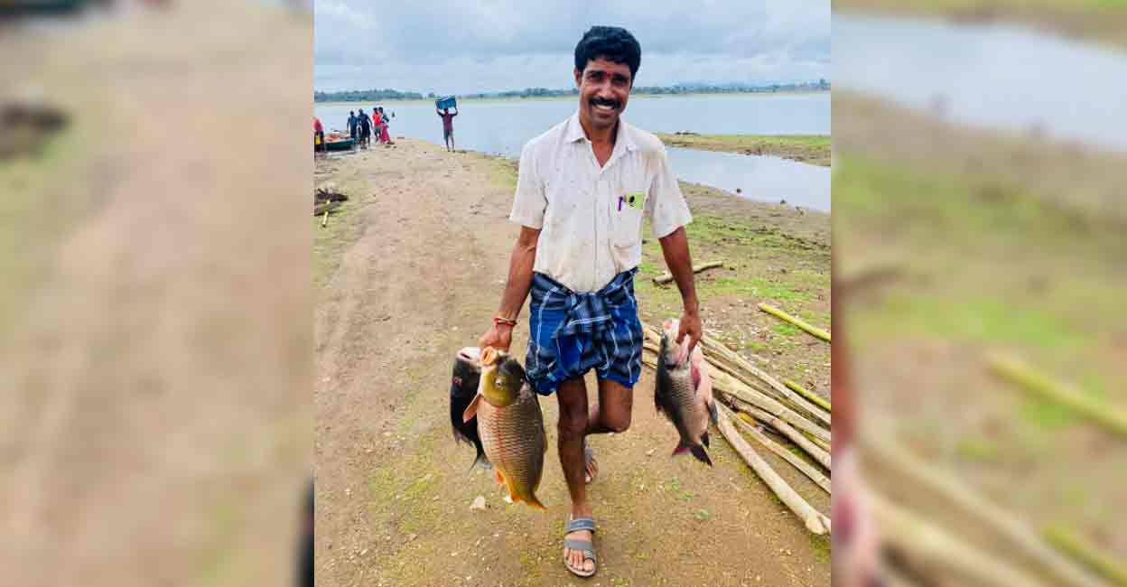 kabani-fish As marine fish landings become low due to trawling ban and prices go skyward, Wayanad is turning to fresh water fishes this monsoon. Photo: Special arrangement
