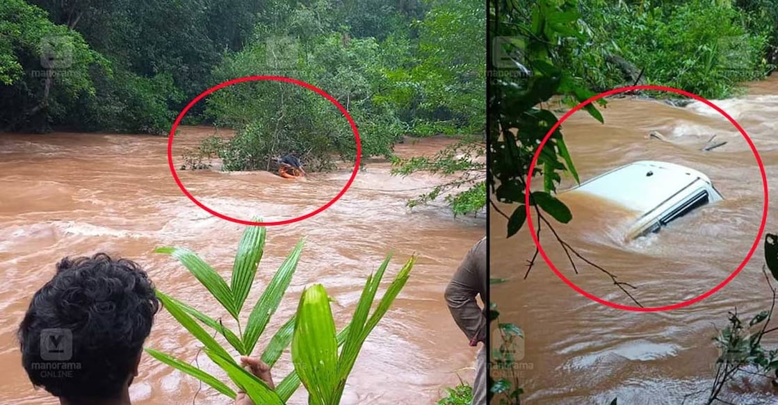 The car drifted about 150 meters before getting stuck in some plants and the duo managed to escape by lowering the side windows. Photo: Special arrangement. 