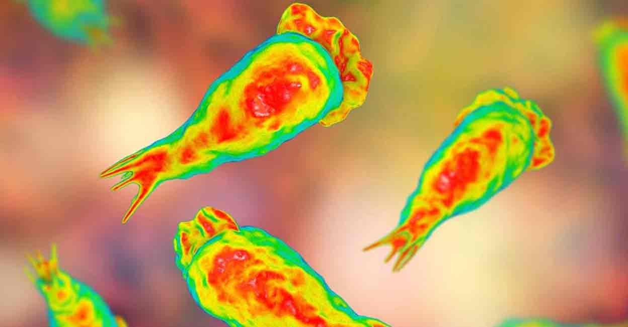 Photo: Kateryna Kon / Shutterstock