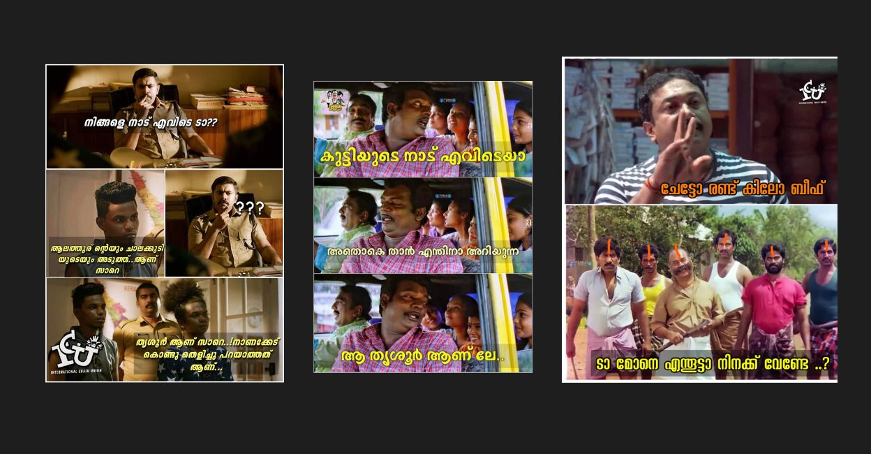 Thrissur's BJP win: Kerala's cultural capital becomes meme central