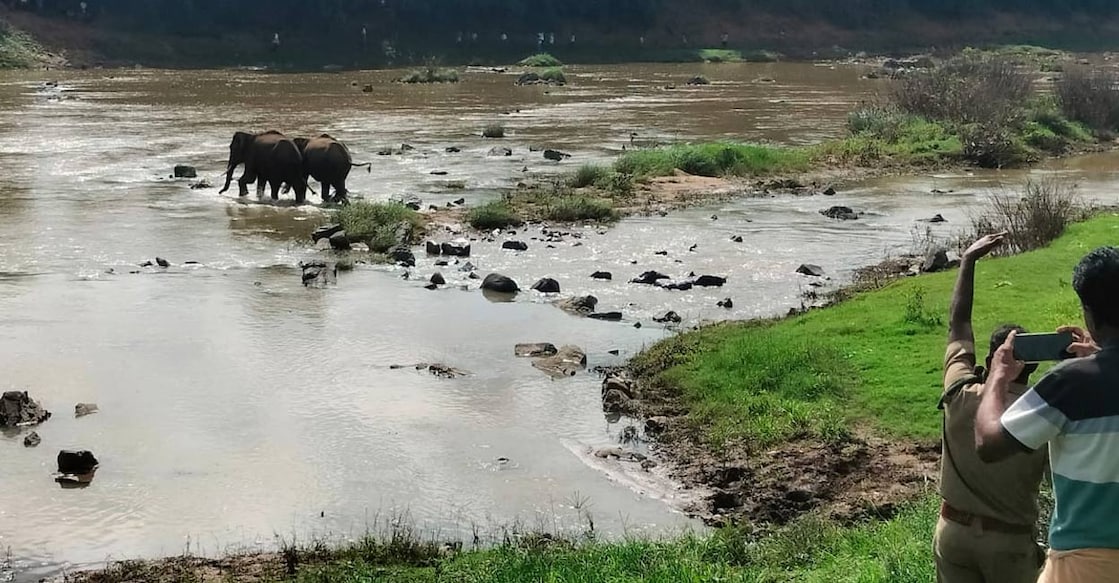 A group of farmers who stay vigilant would scare away the herds back to Karnataka forest and if the herds crossed the river into some human habitats there, they would repeat the same exercise, chasing the herd back. Photo: Special arrangement. 