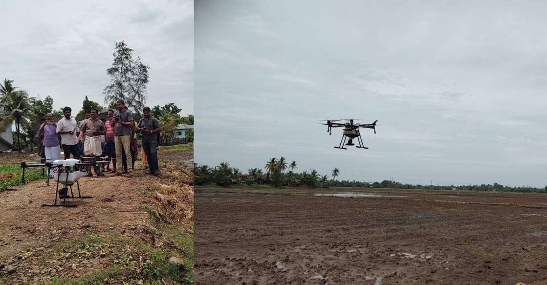Drone used for broadcasting seeds on paddy field in Kuttanad. Photo: Special Arrangement